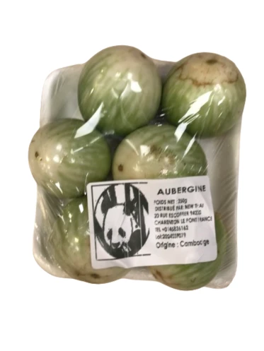 aubergine