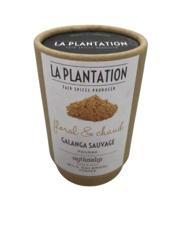 galanga-la-plantation